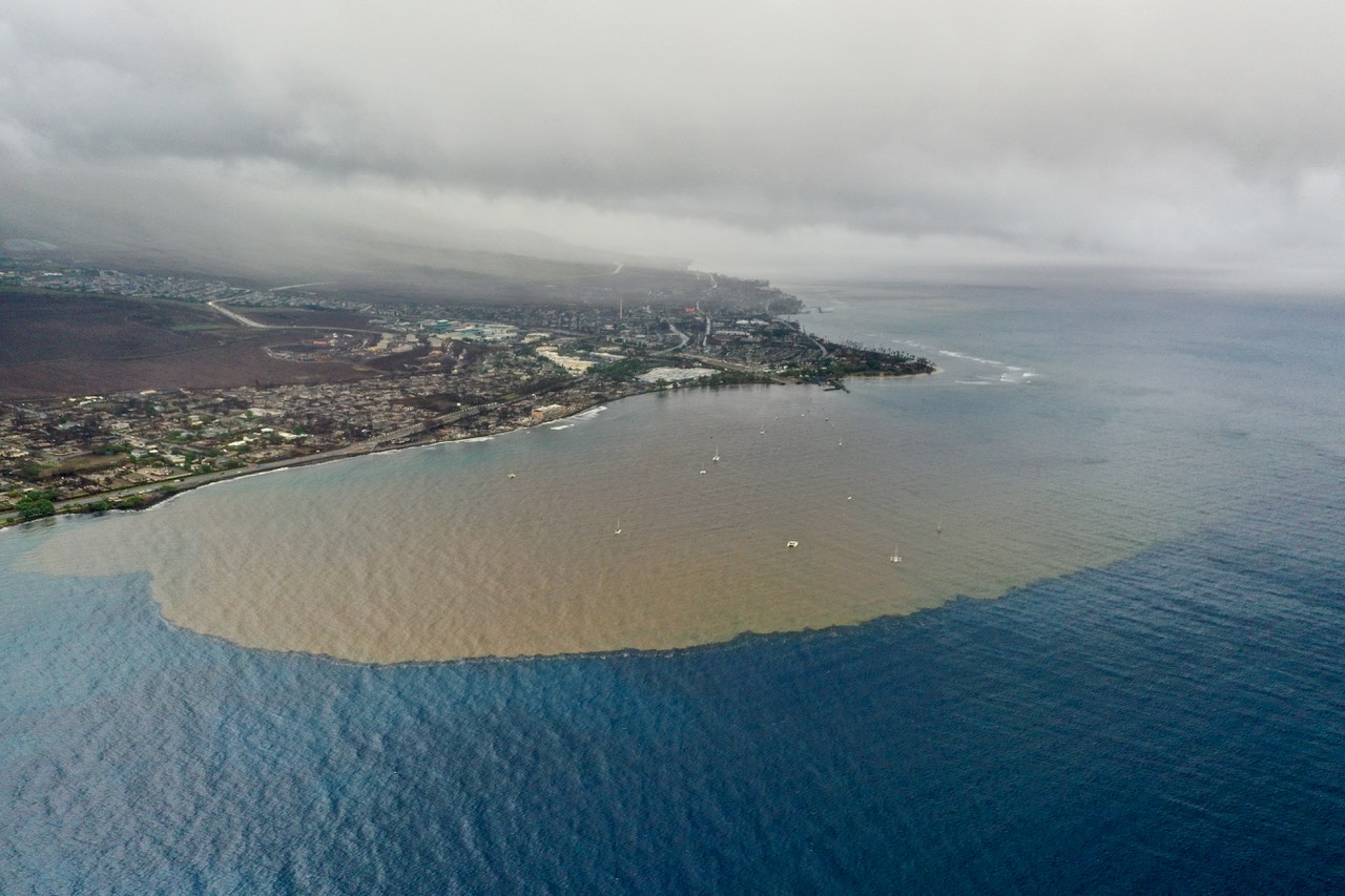 Lāhainā PostFire Water Quality Monitoring
